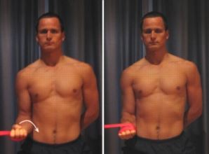 riabilitazione elastici